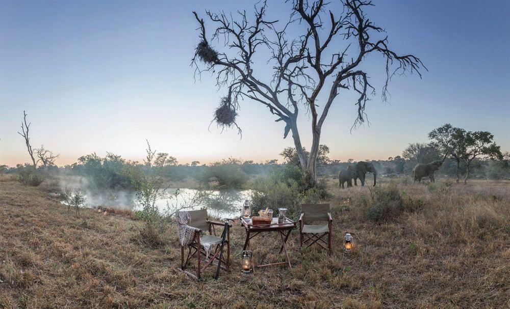 Kings Camp Private Game Reserve Klaserie Private Nature Reserve Exterior foto